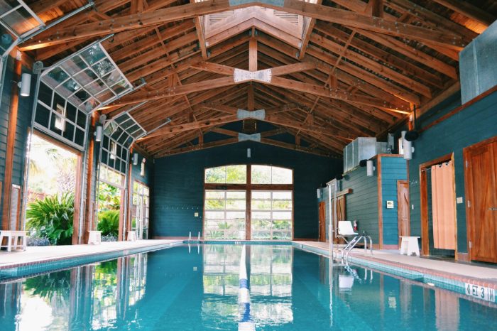 Wellness retreats detox goop usa