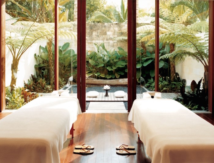 Wellness retreats detox goop usa